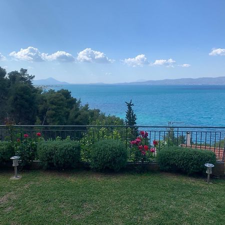 Amfiteatrico Sea View - Kalamos Attiki Lejlighed Markopoulon Oropou Eksteriør billede
